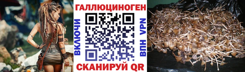 Галлюциногенные грибы Cubensis  Нижний Новгород 